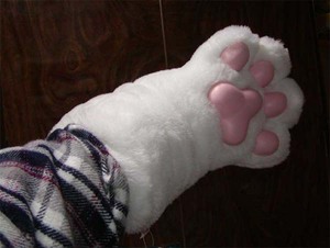 ネコの肉球グローブ ゲット