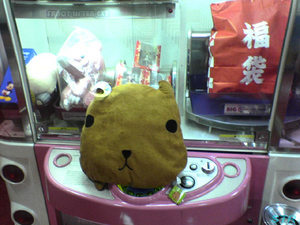 カピバラさんクッション ゲット
