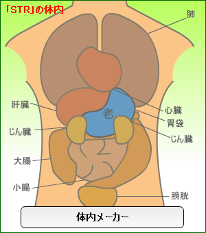体内メーカーを試す