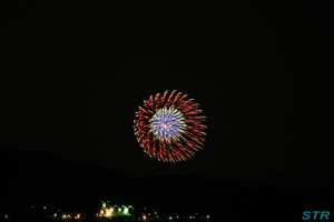 対岸の花火を見る