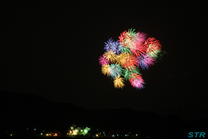 対岸の花火を見る