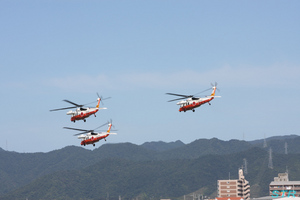 海上自衛隊徳島航空基地開隊50周年記念行事