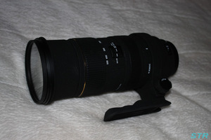 SIGMA APO 50-500mm F4-6.3 EX DG/HSM 購入