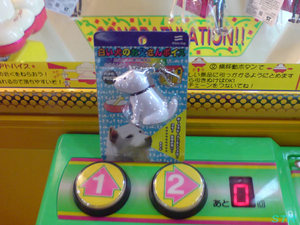 「白い犬のお父さんボイス」と「UFOコマンダー」をゲット