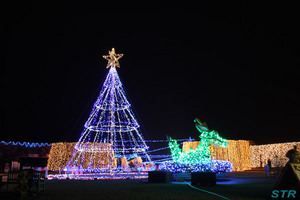 まんのう公園ウィンターファンタジー2008