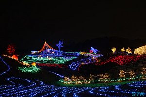 まんのう公園ウィンターファンタジー2008