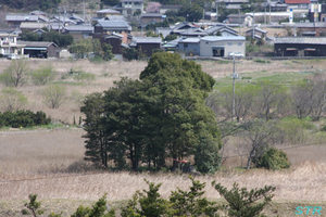 不況で仕事が休み