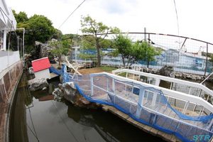 沢田マンションを見学