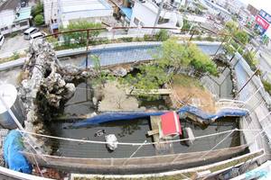 沢田マンションを見学