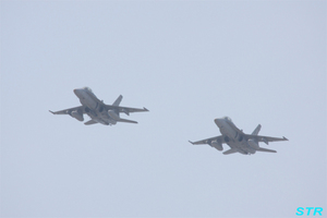 岩国基地フレンドシップデイ2009に行ってきた