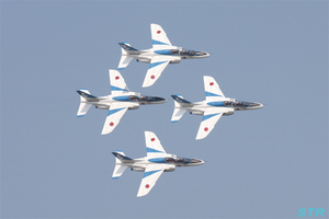 フレンドシップデイ2009でブルーインパルス