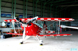 コウノトリ但馬空港フェスティバル2009