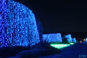 まんのう公園 サマーナイトフェスティバル2009