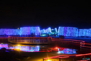 まんのう公園 サマーナイトフェスティバル2009
