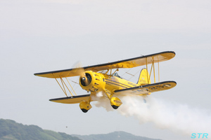 大空と大地のひまわりカーニバル2009