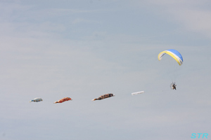 大空と大地のひまわりカーニバル2009