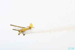大空と大地のひまわりカーニバル2009