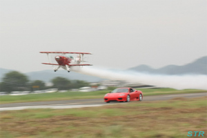 大空と大地のひまわりカーニバル2009