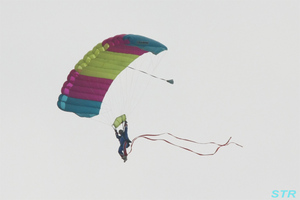 大空と大地のひまわりカーニバル2009