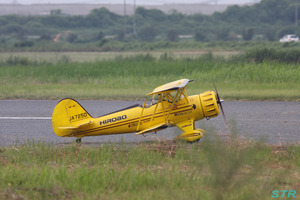 大空と大地のひまわりカーニバル2009