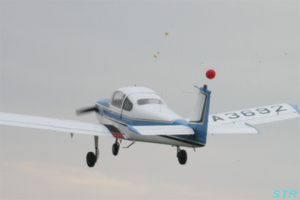 大空と大地のひまわりカーニバル2009