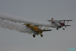 大空と大地のひまわりカーニバル2009