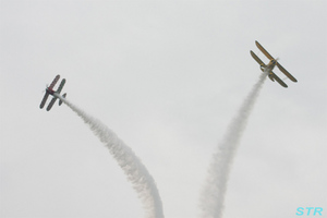 大空と大地のひまわりカーニバル2009