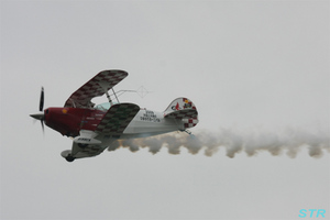 大空と大地のひまわりカーニバル2009