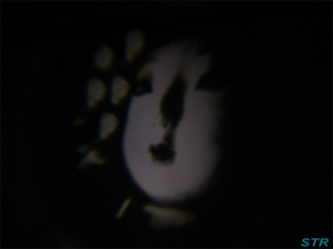 心霊写真恐怖のプロジェクター ゲット