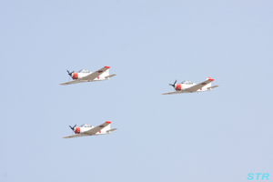 海上自衛隊徳島航空基地開隊51周年記念行事