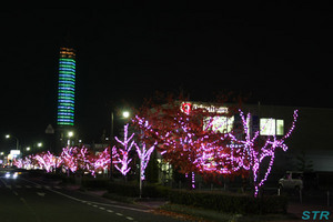 うたづさくらイルミネーション2009
