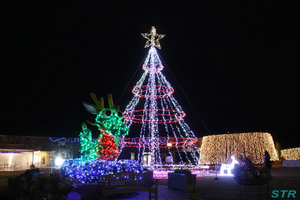 まんのう公園ウィンターファンタジー2009
