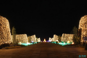 まんのう公園ウィンターファンタジー2009