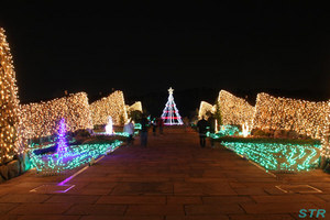 まんのう公園ウィンターファンタジー2009