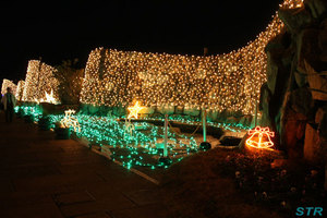 まんのう公園ウィンターファンタジー2009
