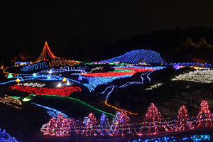 まんのう公園ウィンターファンタジー2009