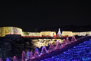 まんのう公園ウィンターファンタジー2009