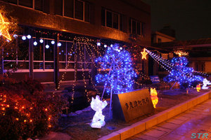 多度津町役場のイルミネーション2009