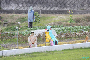 4度目のヒロシ宅訪問