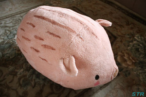 エックスジャンボうりぼうぬいぐるみ ゲット
