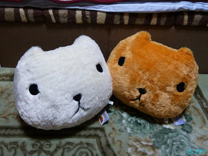 カピバラさん どーんとでっかいふんわり顔型ぬいぐるみ ゲット