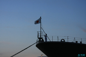 海上自衛隊掃海母艦ぶんご in サンポート高松
