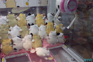 でぶねこ縁日ぬいぐるみ ゲット