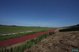 SIGMA 8-16mm F4.5-5.6 DC HSM 購入