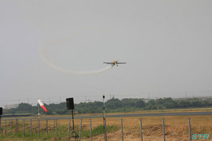 大空と大地のひまわりカーニバル2010