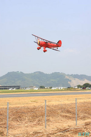 大空と大地のひまわりカーニバル2010