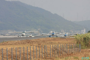 大空と大地のひまわりカーニバル2010