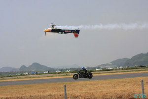 大空と大地のひまわりカーニバル2010