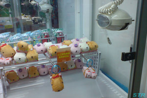 カピバラさんご贈答ぬいぐるみ ゲット