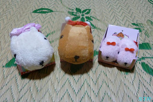 カピバラさんご贈答ぬいぐるみ ゲット